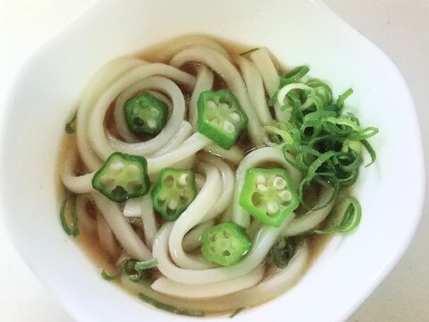 簡単✿ヘルシー!オクラ冷やしうどん✿